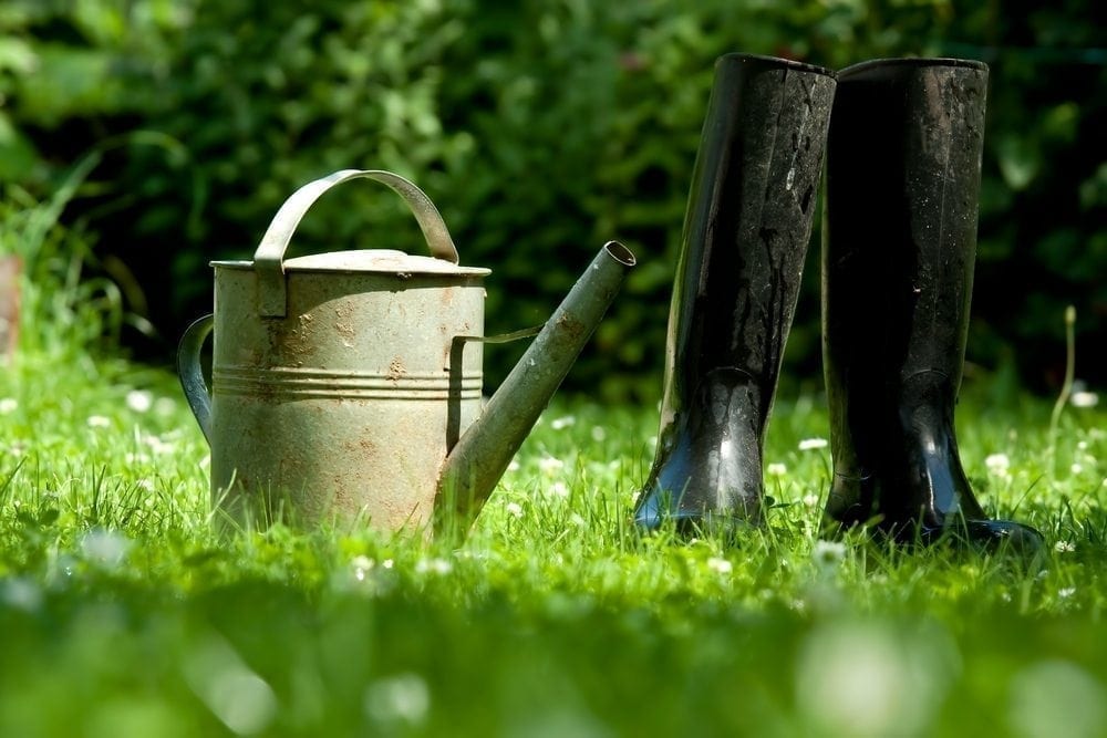 Wellies Picture from MyGreenPod Sustainable News