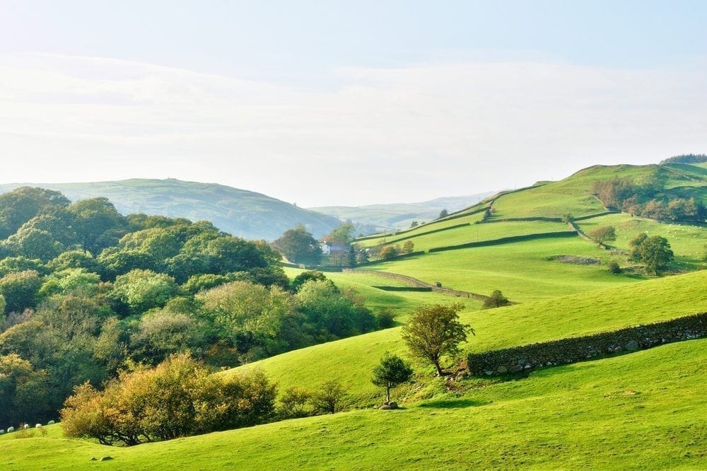 green valley Picture from MyGreenPod Sustainable News