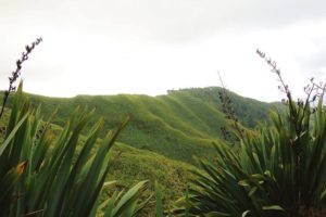 st-helena5
