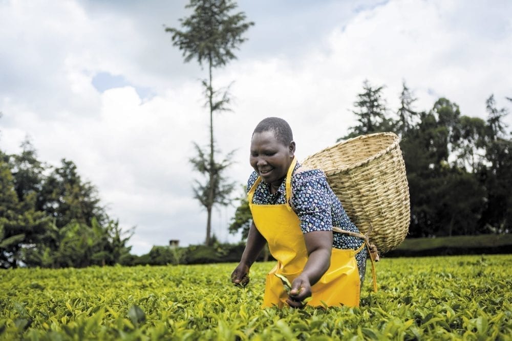 Food and the gender gap. Picture from MyGreenPod Sustainable News
