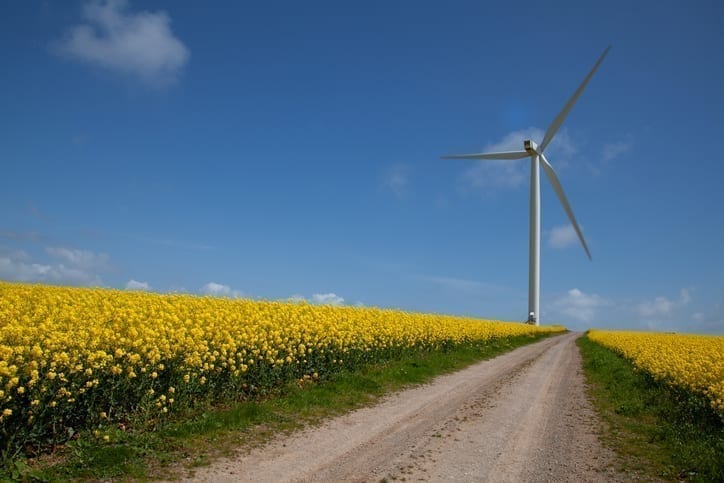 Net zero by 2050_mygreenpod