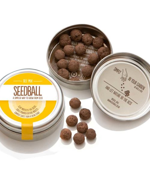 Seedball Bee Mix
