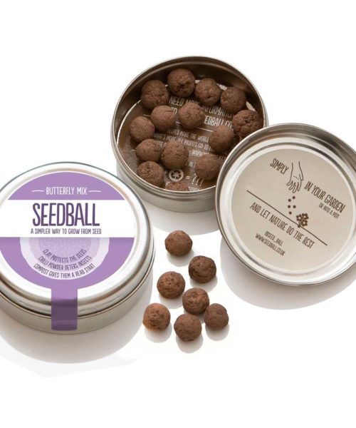 Seedball Butterfly Mix