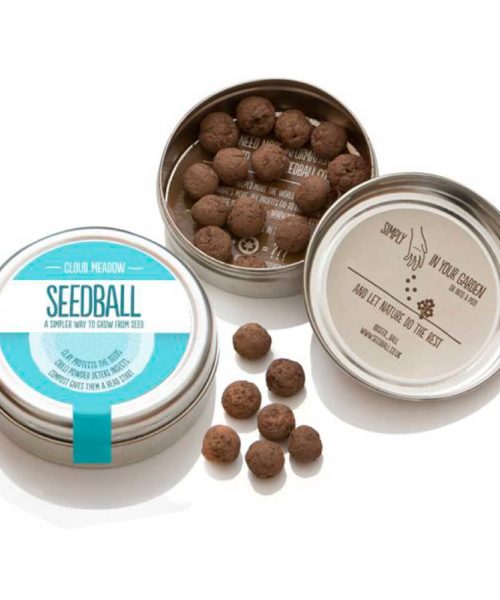 Seedball Cloud Meadow Mix