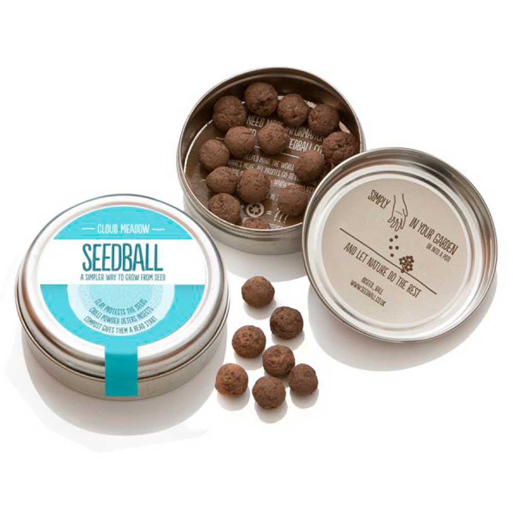 Seedball---Cloud-Meadow-Mix