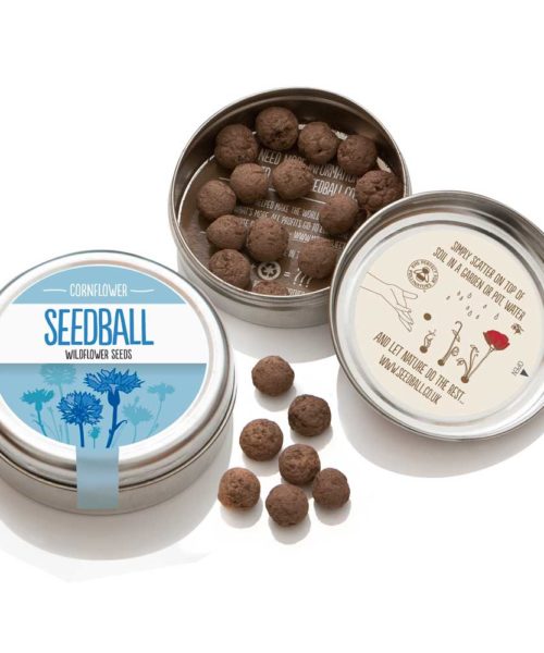Seedball Individual Wildflowers Cornflower