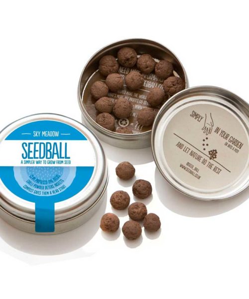 Seedball Sky Meadow Mix