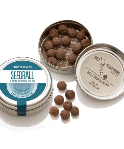 Seedball Urban Meadow Mix