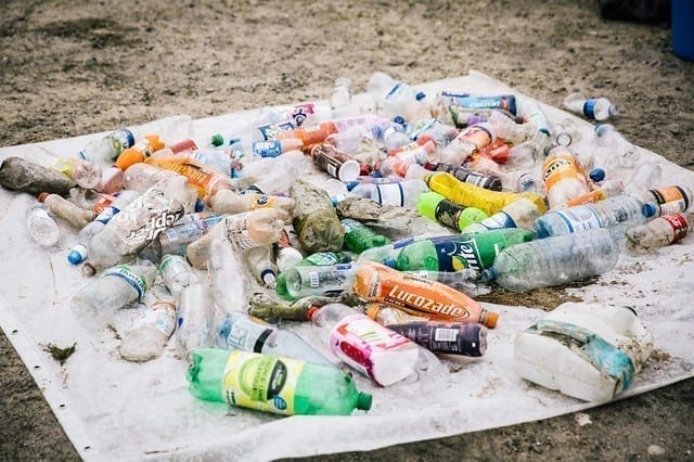 'This is not a littering issue', says SAS