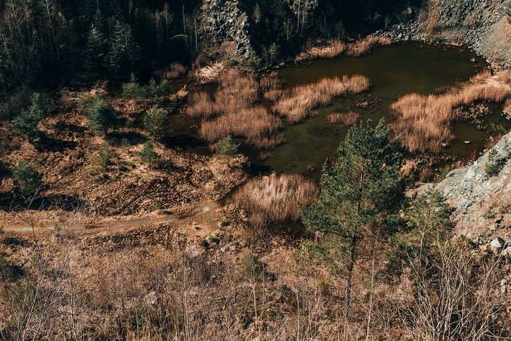 The EU impact on global deforestation
