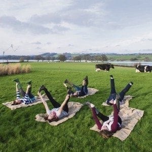 Yeo-ga for breakfast - Pig in the mud