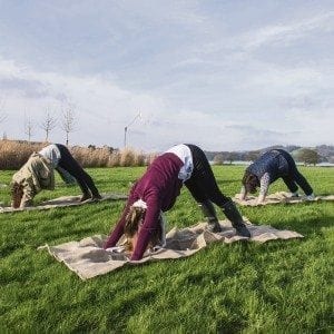 Yeo-ga for breakfast - Dog