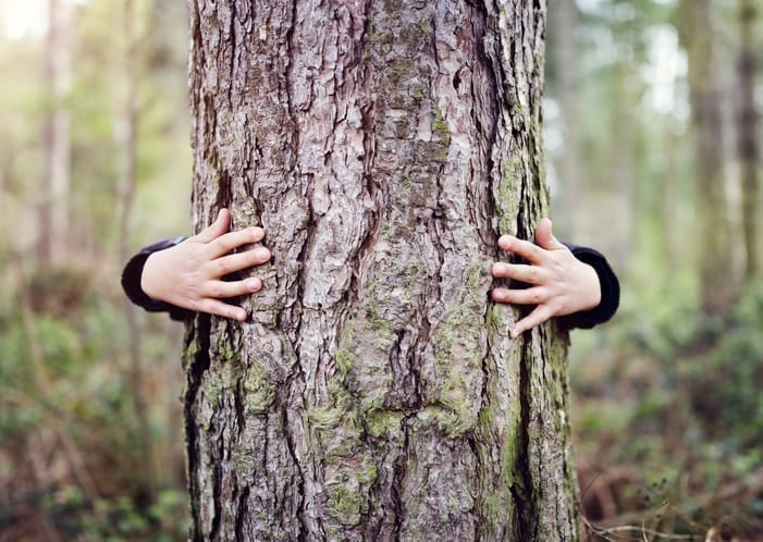A carbon neutral water industry