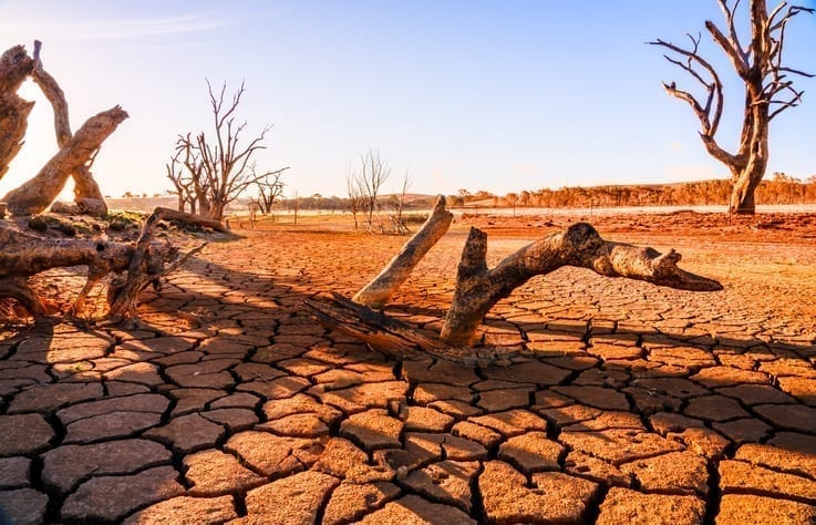 Land: a critical resource