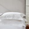 Sleep Organic Oxford Pillowcase