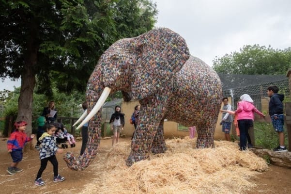The elephant in the room