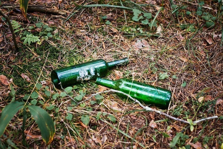 The Green Clean