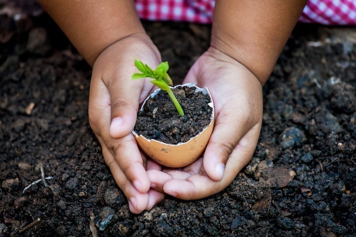 Investing in climate and nature