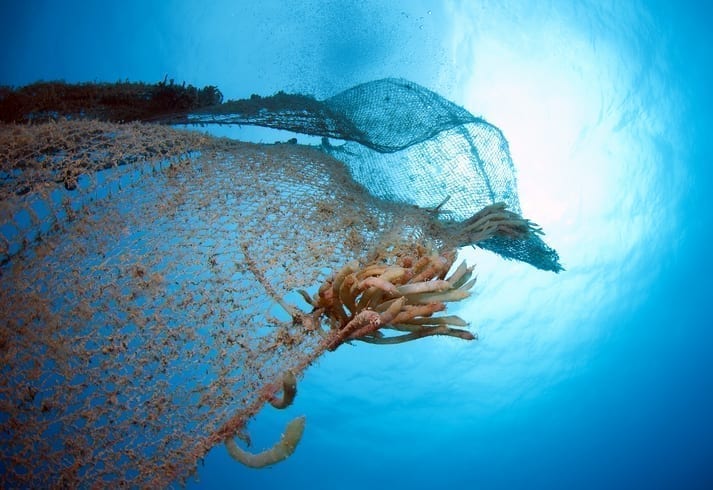 Ghost gear