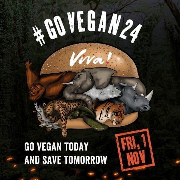 World Vegan Day