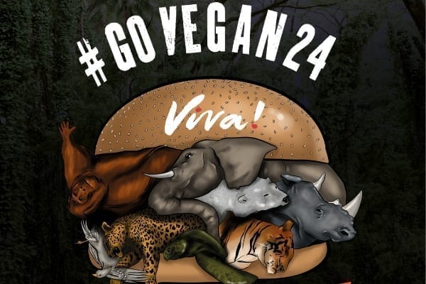 GoVegan24
