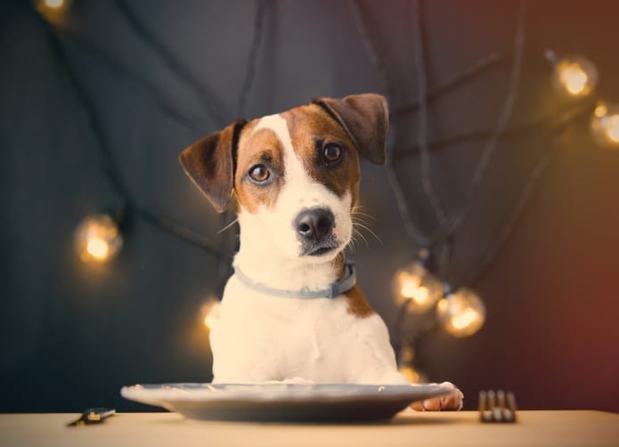 Reclaim the doggy bag