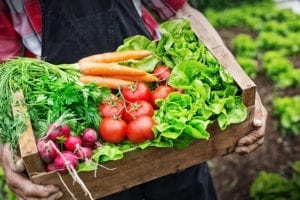 Ethical groceries