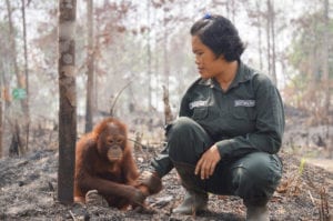 Palm oil in beauty