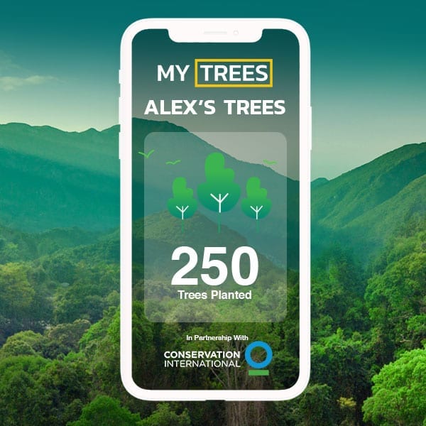 MyTrees