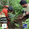 Photograph of two people planting a tree