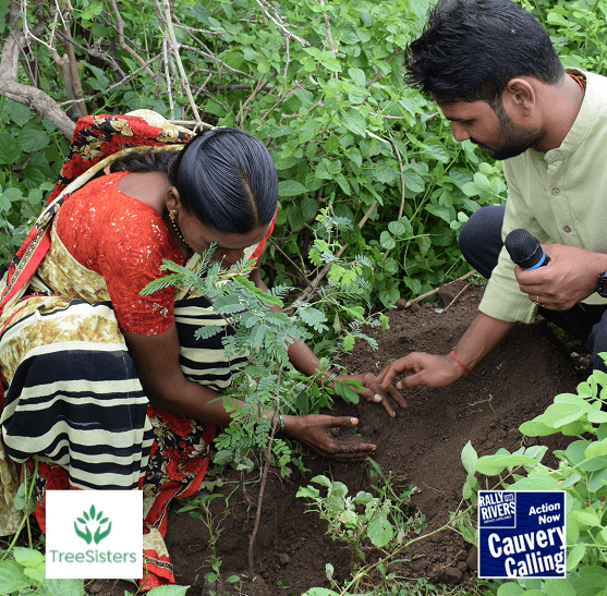 Photograph of two people planting a tree