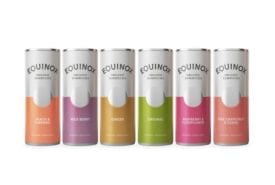 Equinox Kombucha