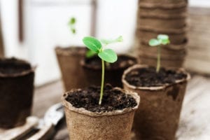 The Growing Revolution