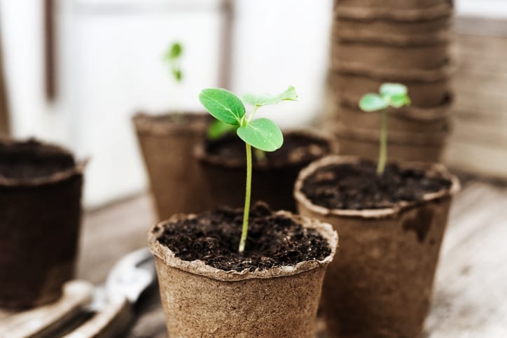 The Growing Revolution