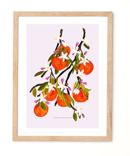 Studio Noodles Citrus Reticulata Botanical Eco Art Print