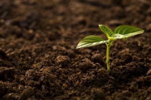 Triodos Bank UK wins Queen's Award