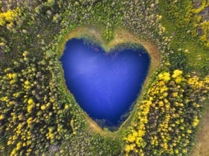 IPBES guest article