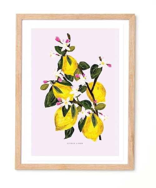 Studio Noodles Limon Botanical Eco Art Print