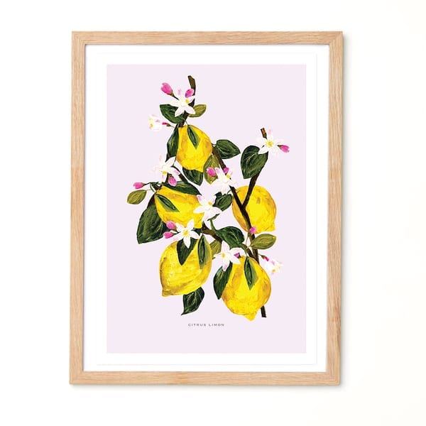 LimonBotanical