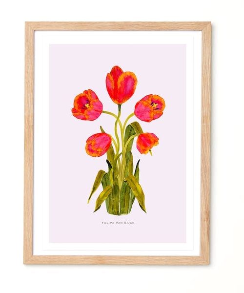 Studio Noodles Tulipa Van Eijak Botanical Print