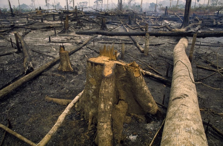 Amazon, Brazil