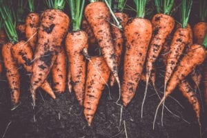 Microplastics in fruit and veg