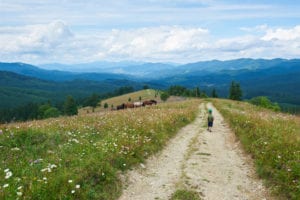 Roadmap to a green recovery