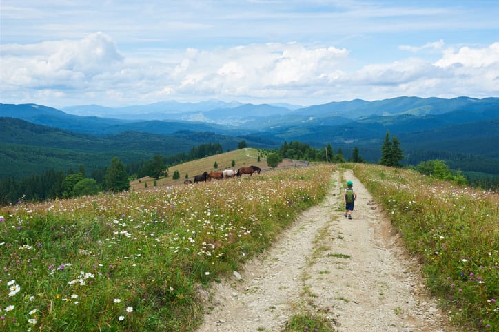 Roadmap to a green recovery