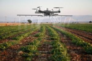Drone spraying a field