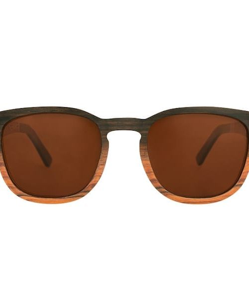 Bird Sunglasses Wren