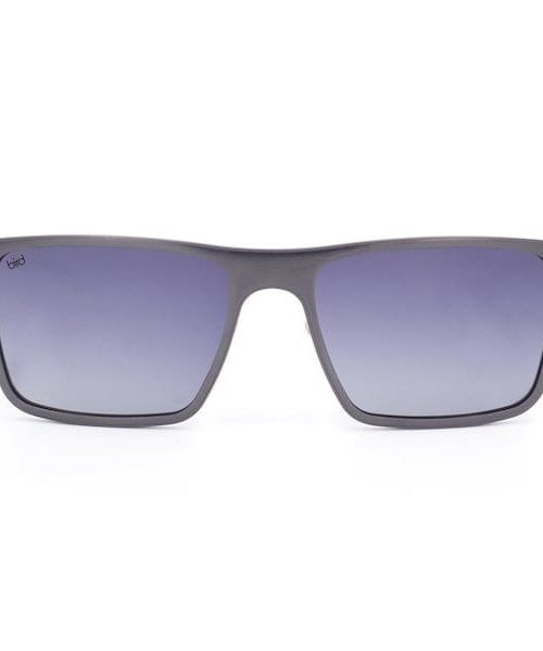 Bird Sunglasses Nova