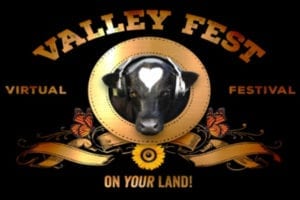 Valley Fest 2020