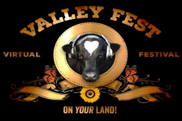 Valley Fest 2020