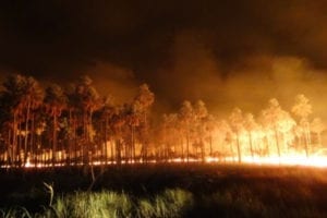 Global fires up 13%